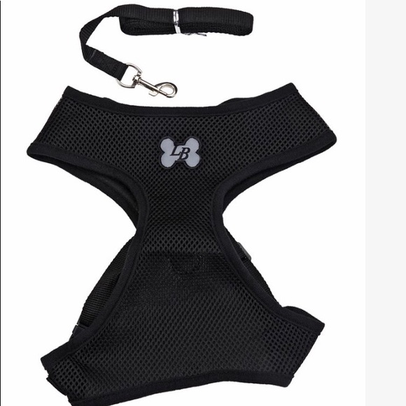 HOST PICK 🐶 Padded Mesh Harness & Lead 🐶 - Picture 2 of 2